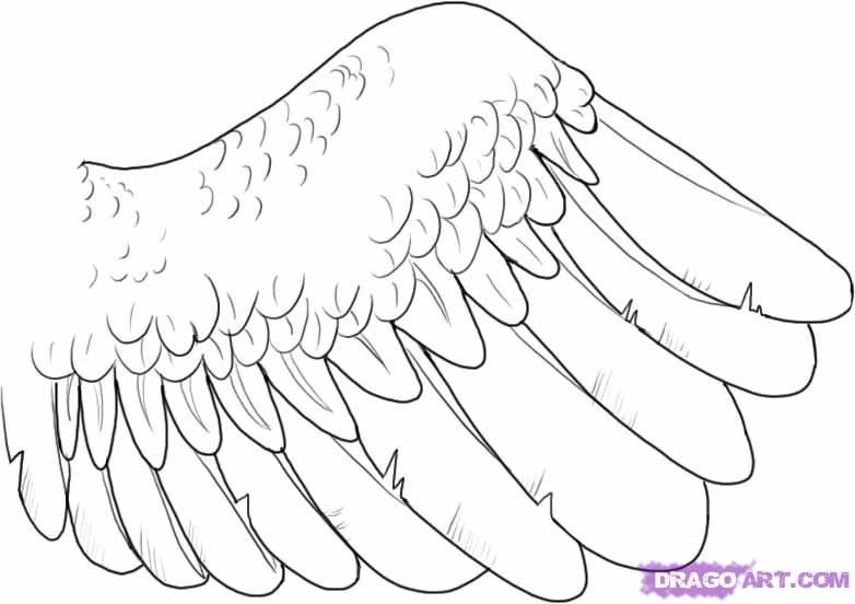 Трафарет крыло птицы