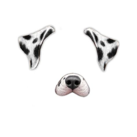 Собачьи уши на белом фоне