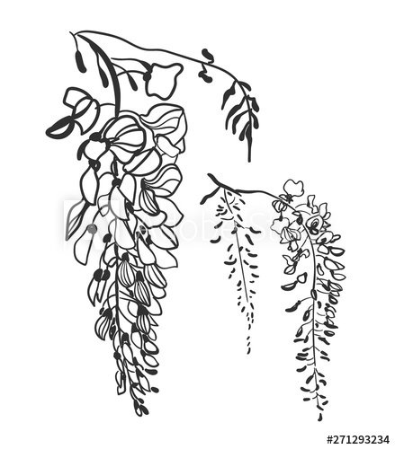 Глициния узор