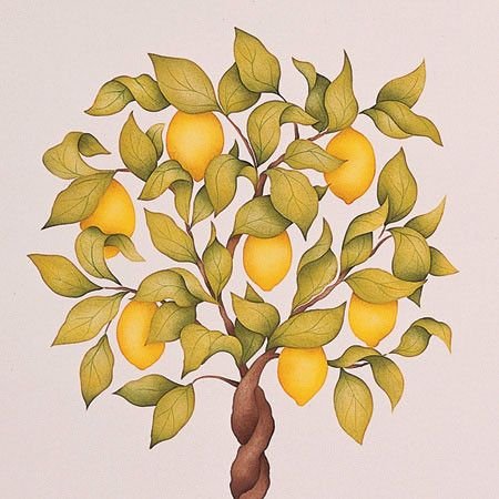 Лимонное дерево витраж