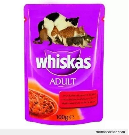 Вискас для кошек с маленьким лицом