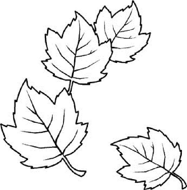 Трафарет листочка