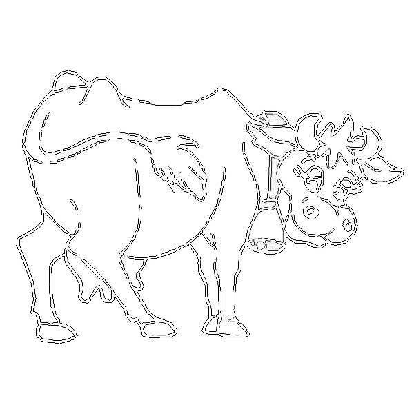 Выжигание коровы