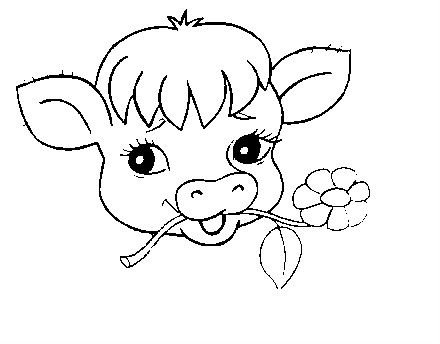 Голова коровы раскраска для детей