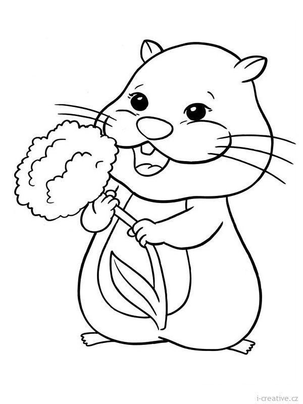 Раскраска хомяк