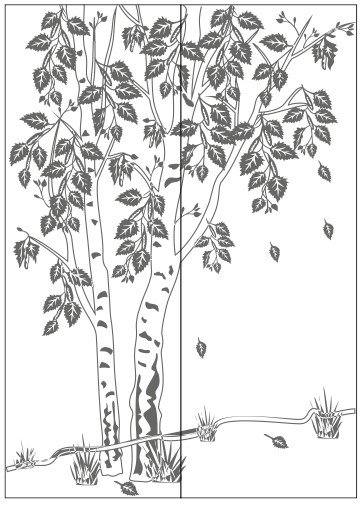 Береза рисунок черно белый