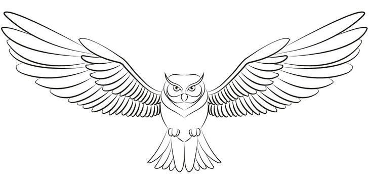 Контур Совы с расправленными крыльями