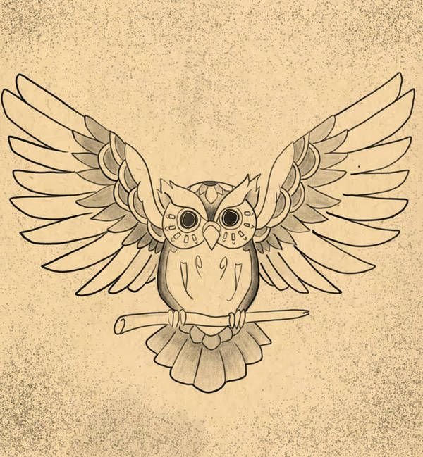 Крылья Совы