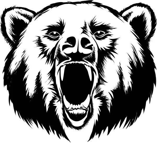 Медведь рисунок