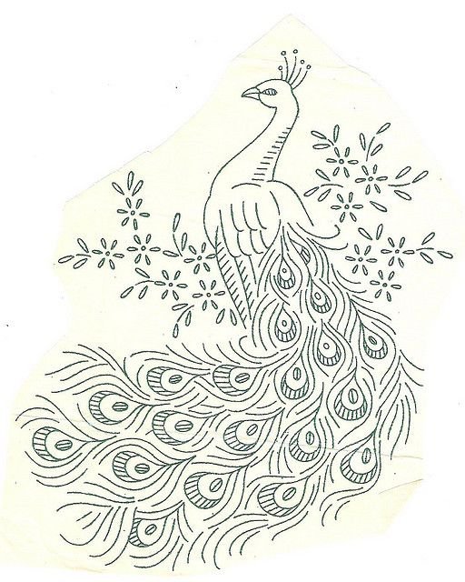 Павлины раскраска