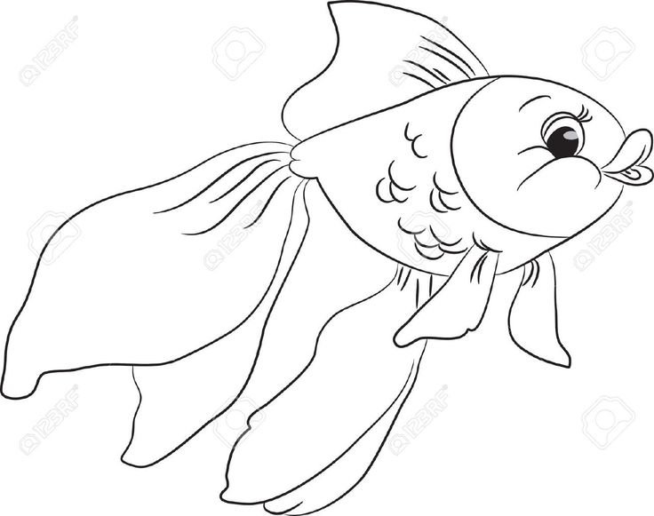 Золотая рыбка раскраска для детей