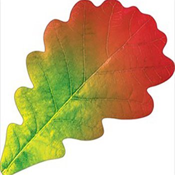 Дубовый лист цветной
