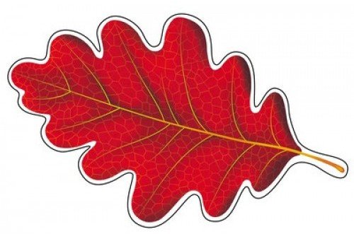 Красный дубовый лист