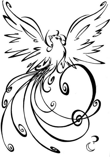 Жар птица картинки