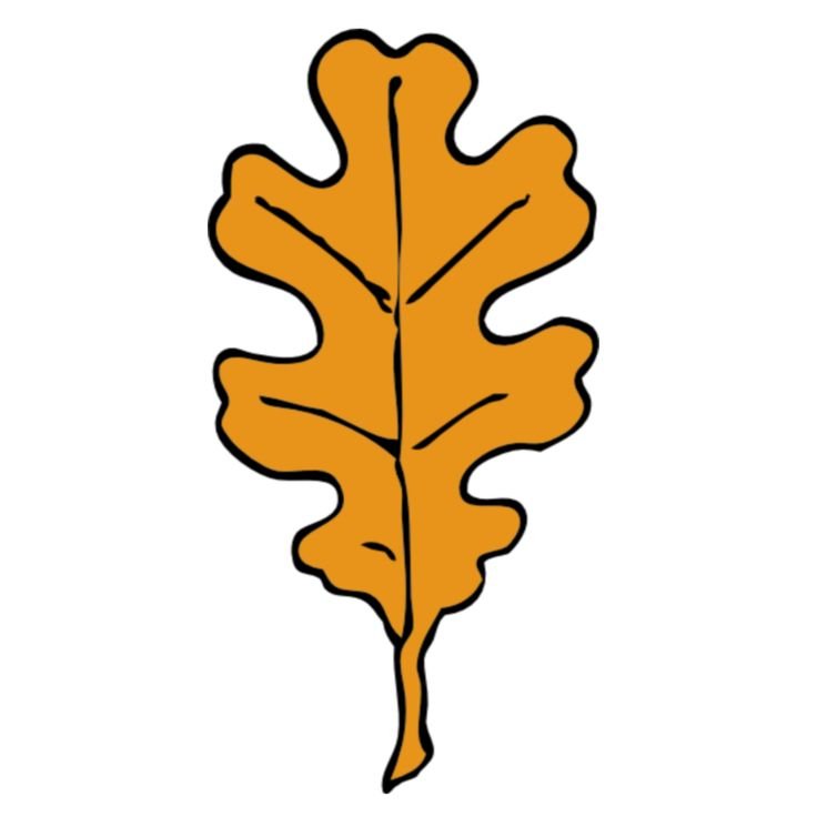 Дубовый лист для вырезания
