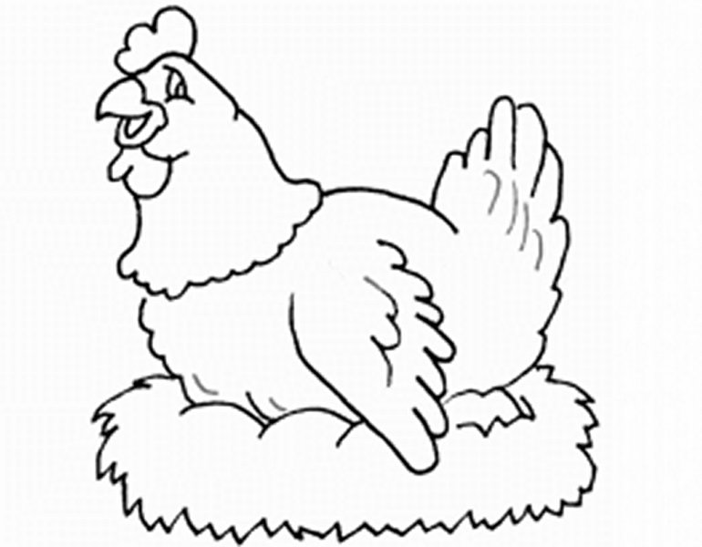 Курочка раскраска