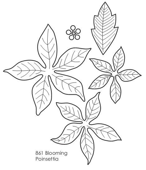 Шаблон Рождественского цветка
