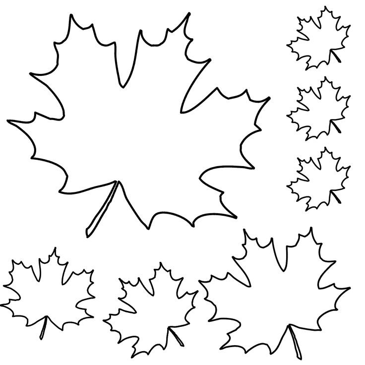 Кленовый листик трафарет