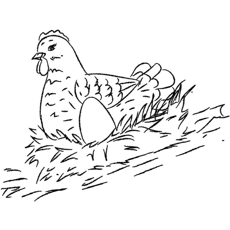 Курочка Ряба сказка раскраска для детей