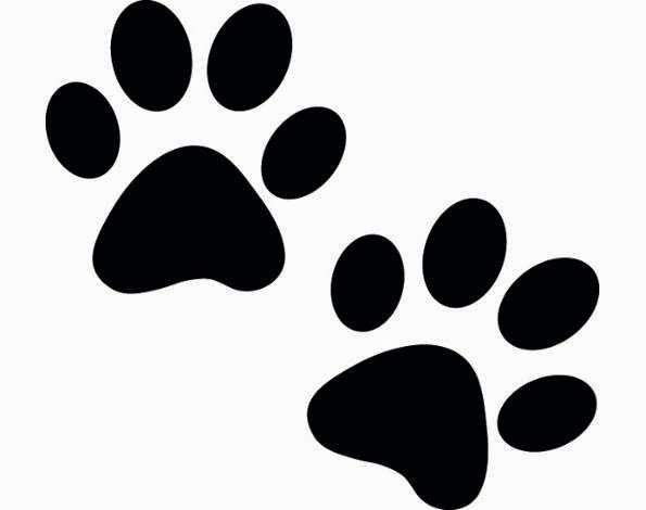 Отпечаток лапки кота