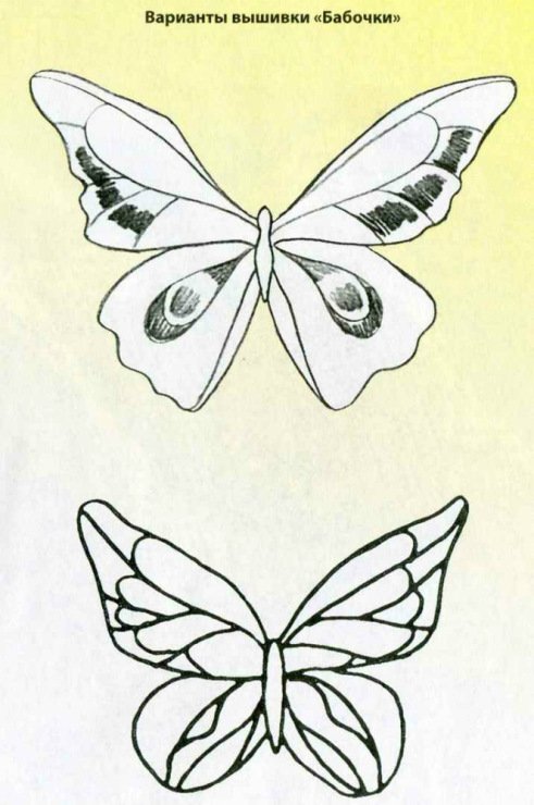 Бабочка зарисовка