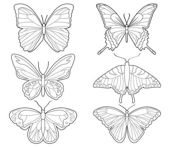 Трафареты бабочки