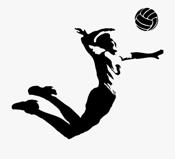 Спортивные силуэты