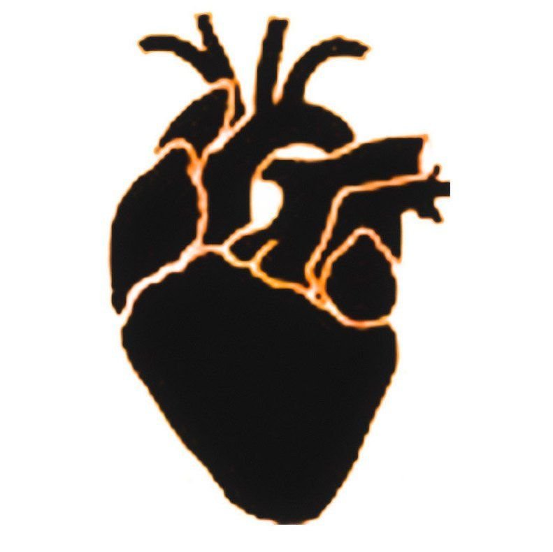 Человеческое сердце контур