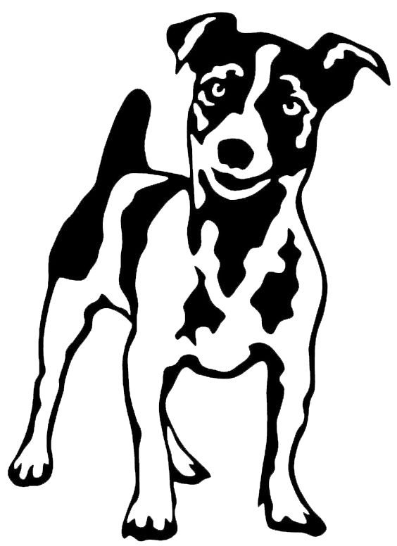 Джек Рассел