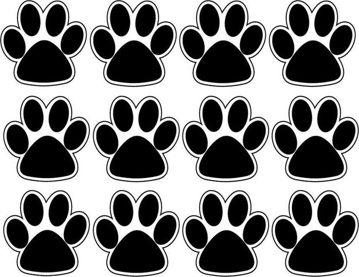 Трафарет лапки