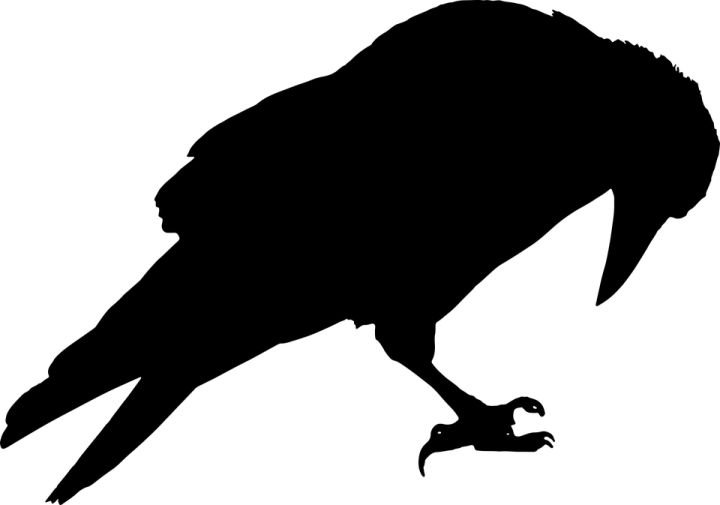 Силуэт ворона