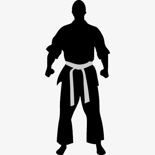 Дзюдо силуэт