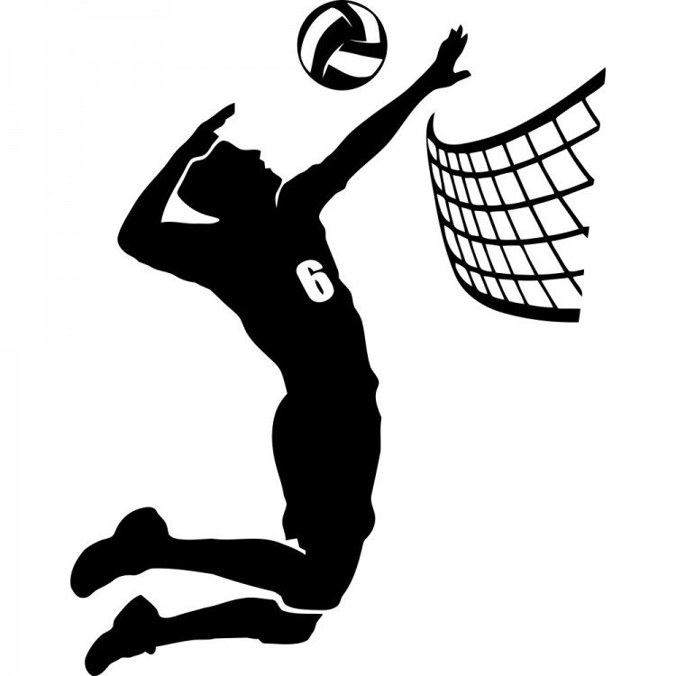 Волейбол атрибутика