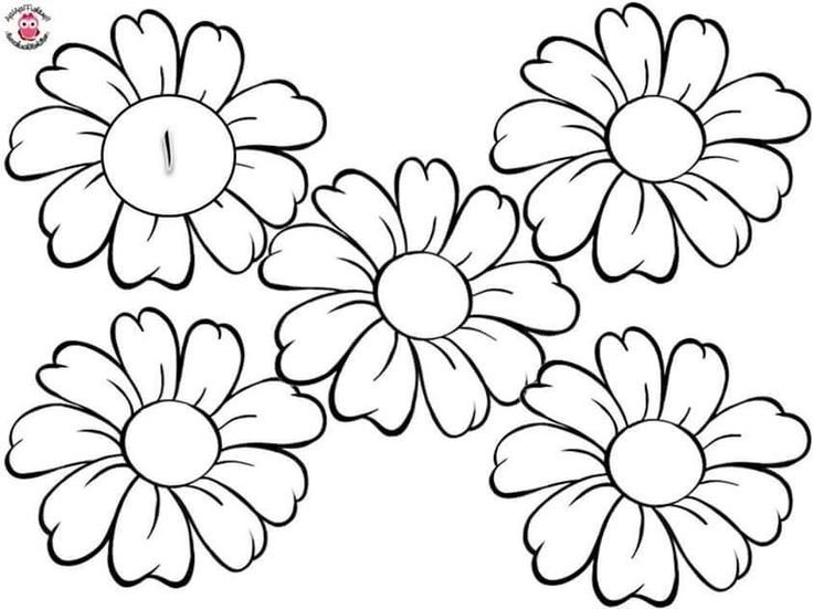 Шаблоны цветов для печати