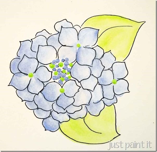 Гортензия шаблон