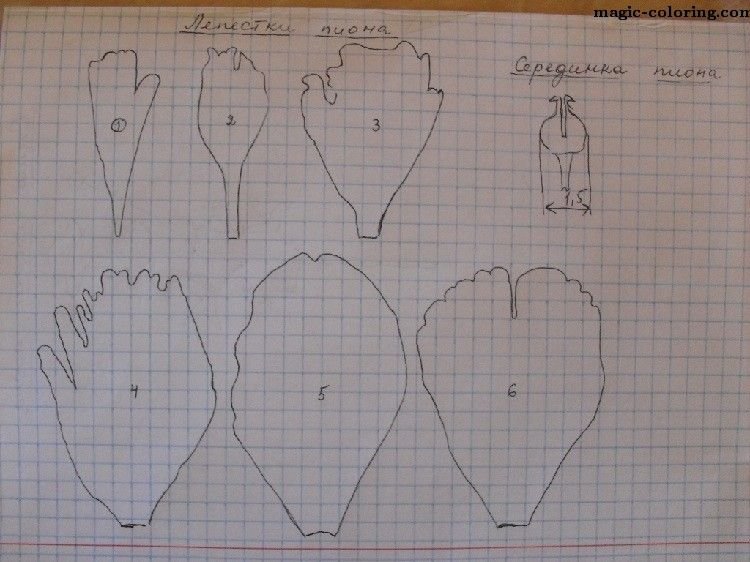 Шаблон лепестков пиона для изолона