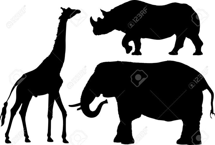 Тени африканских животных