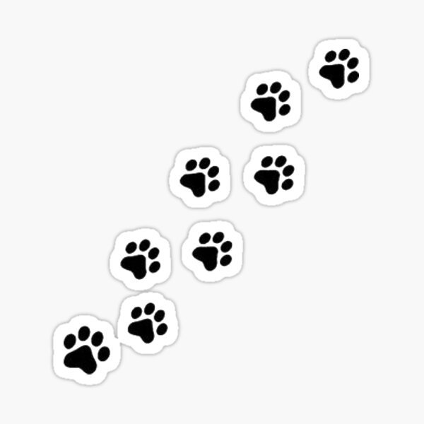 Наклейки кошачьи следы