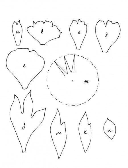 Выкройки лепестков пиона из фоамирана