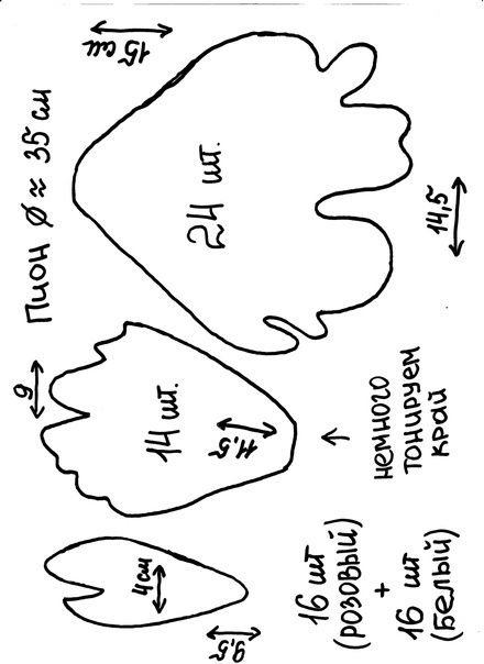 Лекало лепестка пиона