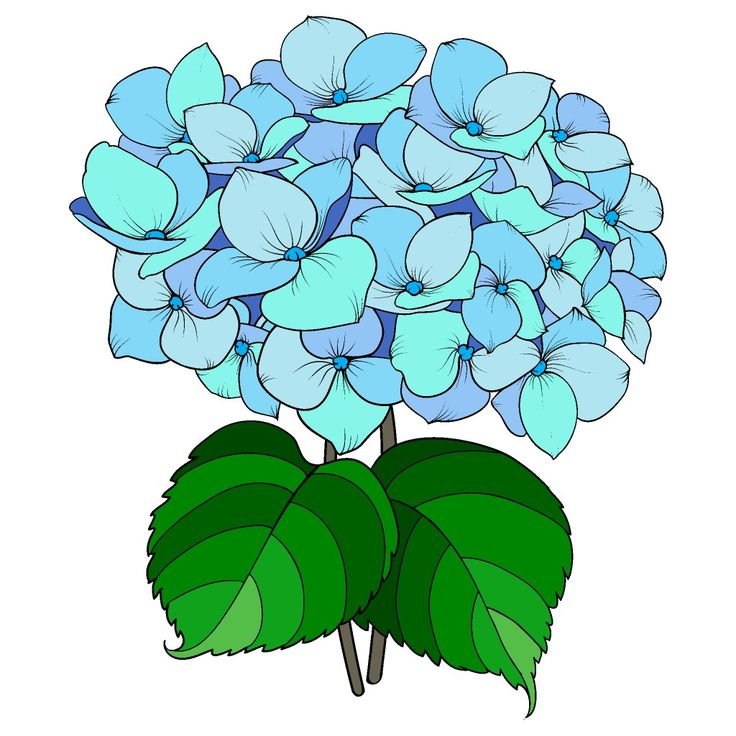 Гортензия Бриггс