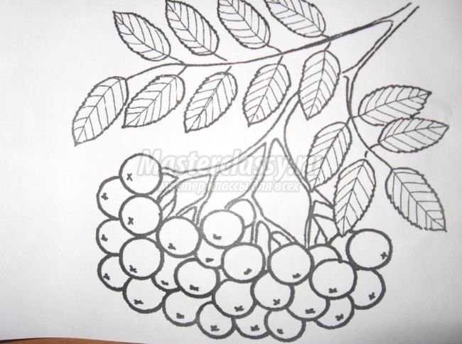 Гроздь рябины для пластилинографии