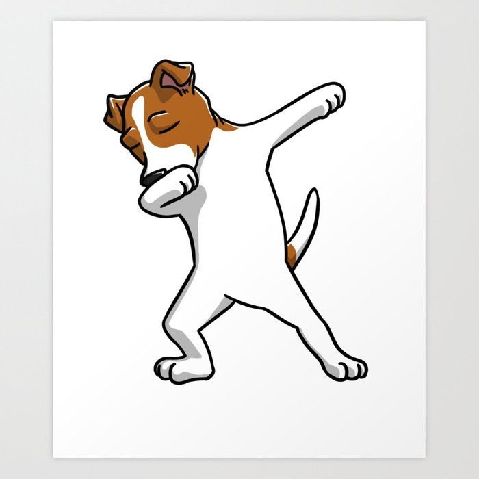 Джек Рассел собака