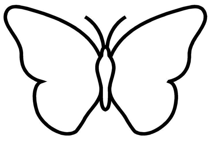 Бабочка раскраска для детей