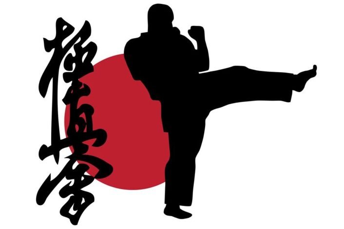 Каратэ киокусинкай силуэт