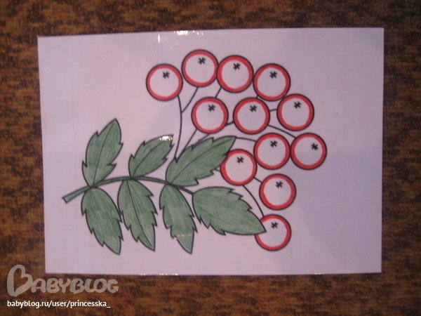 Ветка рябины рисование в младшей группе