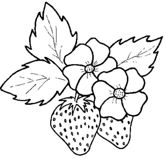 Ягоды раскраска для детей