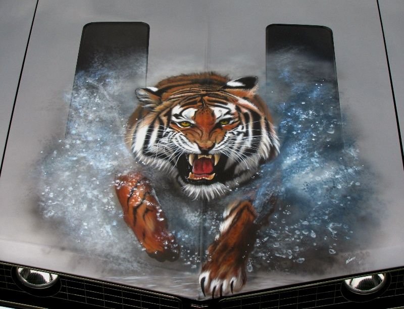 Аэрография тигр