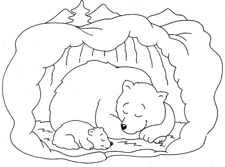 Берлога медведя