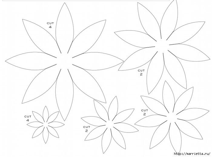 Цветок шаблон